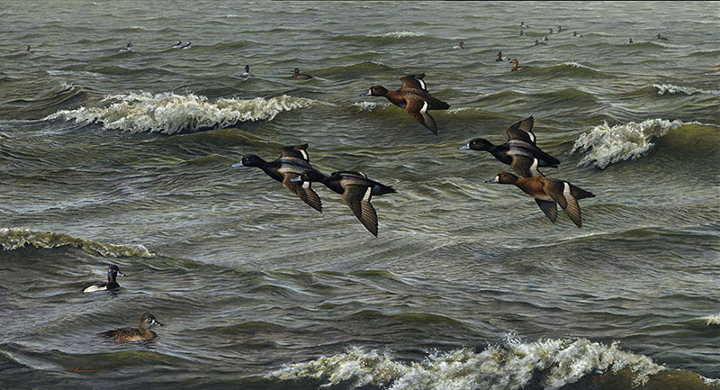 Big Water Bluebills painting